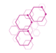 Phoenix51’s platform sits underneath every hiring, assessment and development decision — creating consistency, visibility and control.
